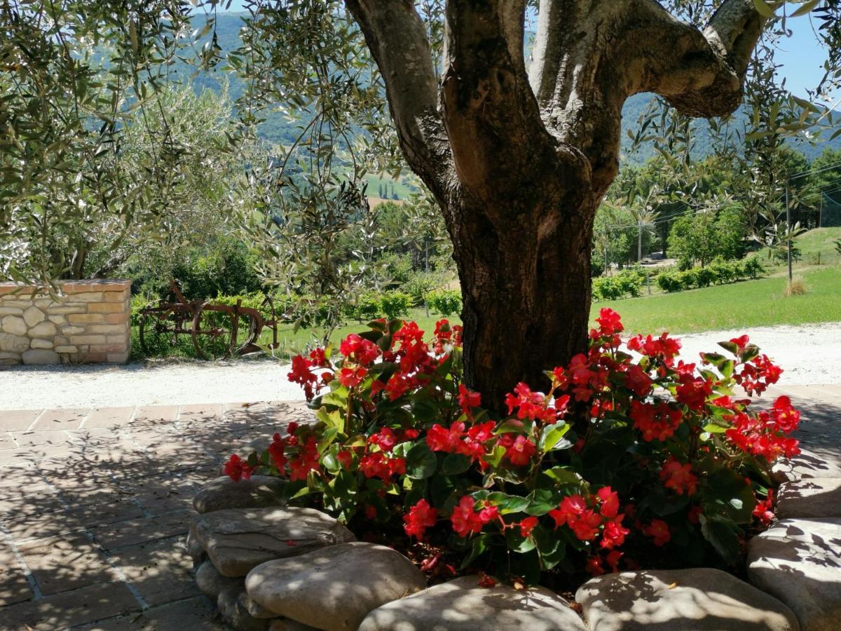 Agriturismo Sole Luna Piano Delle Pieve Exterior foto